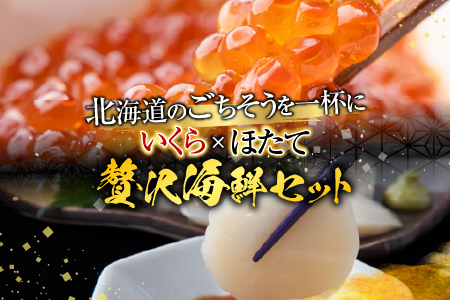 いくら醤油漬け100g×2P、ほたて貝柱500g×1P C-30041