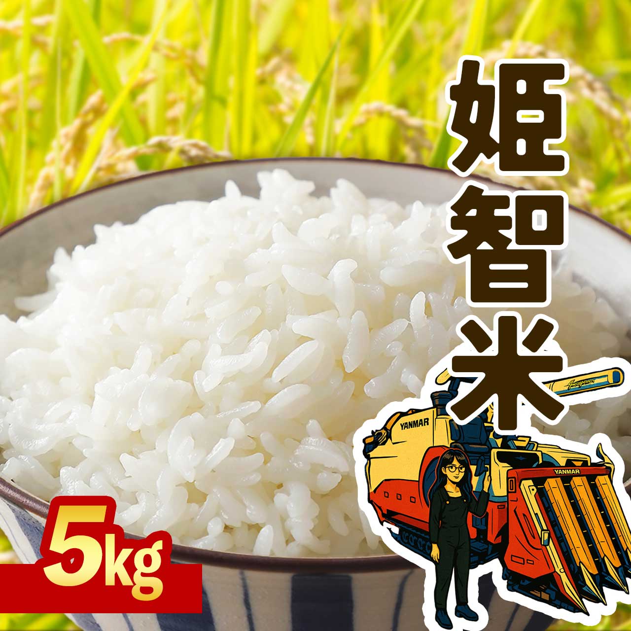 【ふるさと納税】 新米 令和7年産 なつほのか 5kg 鹿児島県産 新米 こめ 智子さんの姫智米 | ふるさと納税 白米 お米 精米 ブランド米 弁当 ごはん ご飯 おにぎり 精米 5キロ 鹿児島県 大崎町 お取り寄せ 送料無料