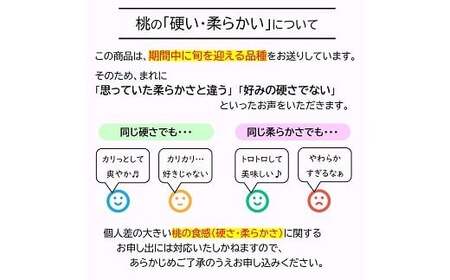 【令和8年産先行予約】 《定期便5回》 フルーツ王国の人気便 『フードシステムズ』 さくらんぼ 桃 シャインマスカット りんご 果物 フルーツ 山形県 南陽市 [2264-R8]