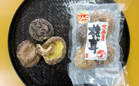 嬉しい詰め合わせ3点セット！大分県産干し椎茸 日田市 / 高木商店 椎茸 どんこ しいたけ こうしん[AREX003]