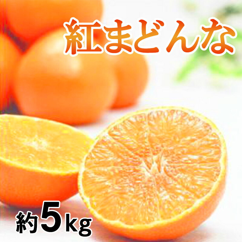 【ふるさと納税】 紅まどんな ご家庭用 約5kg (M～L) 【2026年11月下旬頃から順次発送】 | 紅マドンナ べにまどんな みかん 紅まどんな ベニマドンナ 柑橘 まどんな 果物 くだもの ふるーつ フルーツ 蜜柑 かんきつ mikan mican 愛媛県 松山市