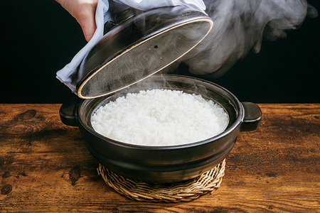 新潟産 コシヒカリ【精米】 10kg（5kg×2袋） ミネラル豊富な土壌で育ったお米 加茂市 太蔵ファーム