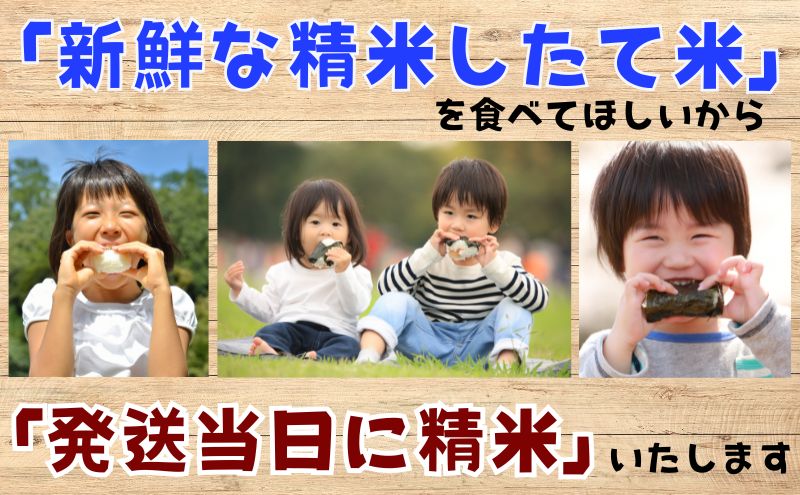 ★精米したてが1番！★令和5年産 盛岡市産 ひとめぼれ 5kg×2『定期便3ヶ月』 ◆1等米のみを使用したお米マイスター監修の米◆