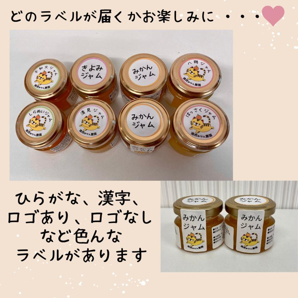 数量限定！店主にお任せ 無添加 柑橘ジャム140g×3個