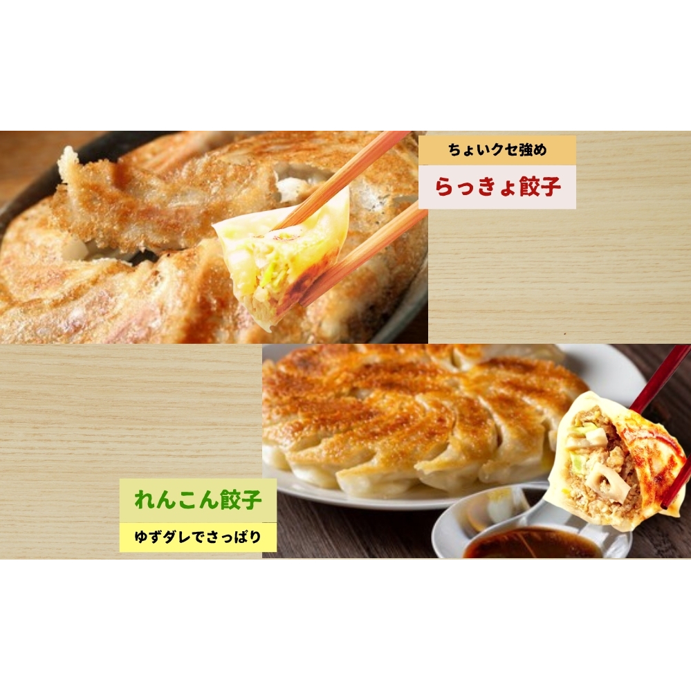 豪華鳴門餃子セット　　鳴門　らっきょう　れんこん　鳴門らっきょ　セット　蓮根　惣菜　冷凍　餃子