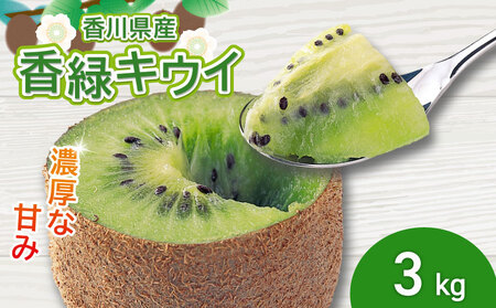 濃厚な甘み！ 香緑キウイ 約3kg 香緑 キウイ フルーツ 果物 【goshiki021】