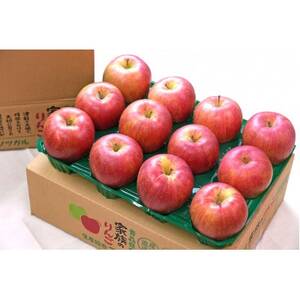 【26年2月～3月出荷予定】糖度13度以上保証!シナノスイートおもてなし用約3kg(6～18玉)【配送不可地域：離島】【1682170】