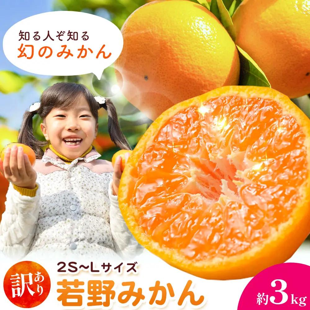 みかん 訳あり 若野みかん 約3kg