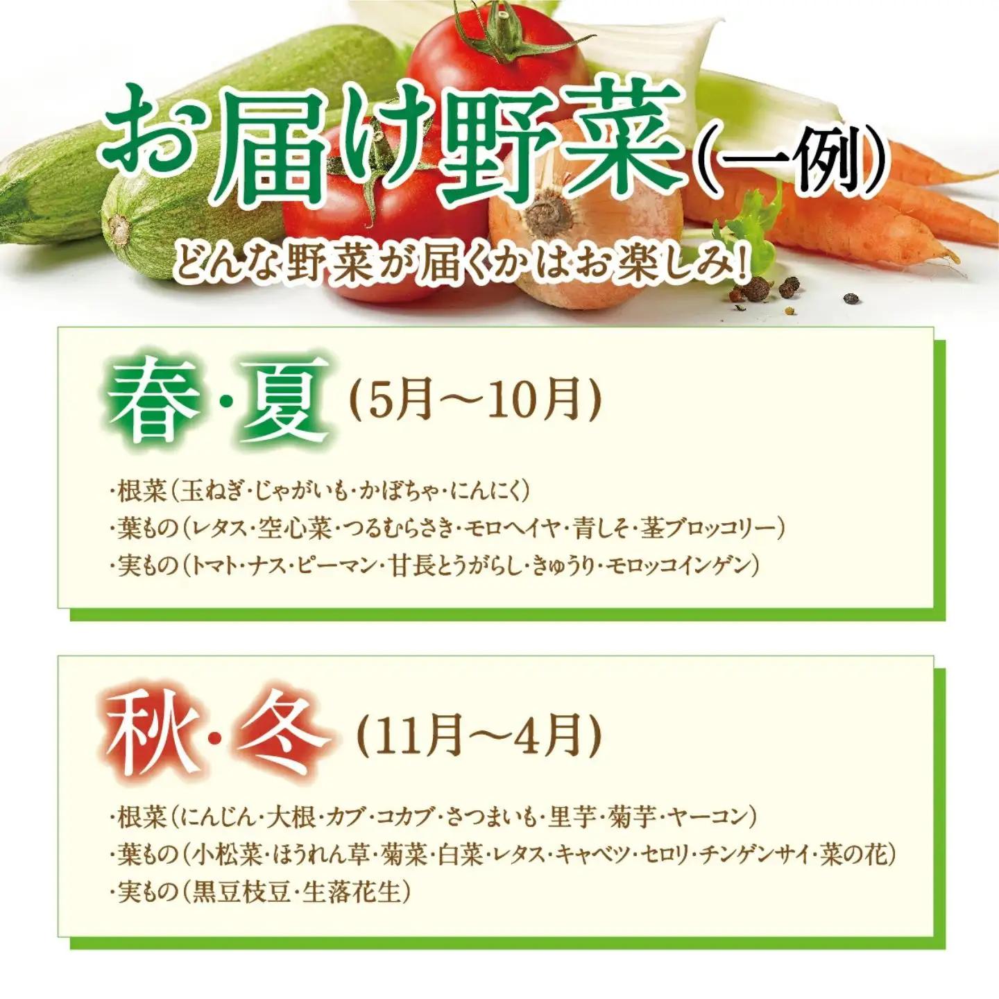 [定期便 12回] 【大阪能勢産】 《農家直送》 べじたぶるぱーくの旬の新鮮野菜詰合せ Sセット (5種類) | 12回(毎月) 定期便 12ヶ月 定期 野菜詰め合わせ 野菜 農薬 化学肥料不使用 新