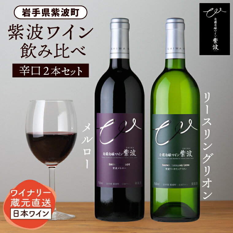 【ふるさと納税】産地限定 ワインぶどう品種使用 自園自醸ワイン紫波 辛口ワイン2本セット ふるさと納税 紫波町産 テロワール ワイン （AL045-1）