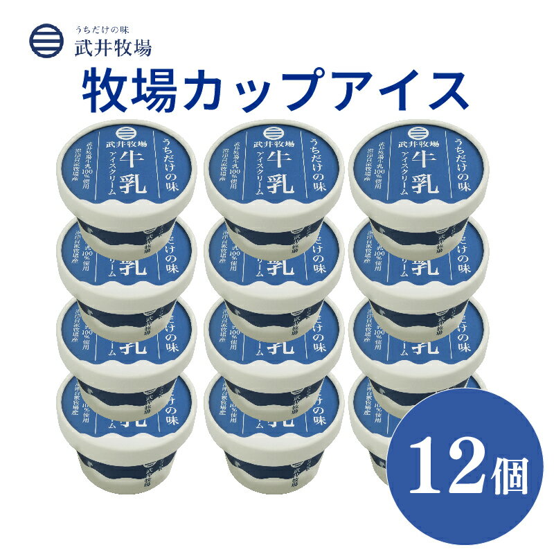 【ふるさと納税】 アイスクリーム カップアイス 12個 うちだけの味 武井牧場 自家製 手作り 牧場アイス 濃厚 ミルク 生乳 クリーミー 絶品 詰め合わせ 高級 贅沢 お土産 プレゼント ギフト 贈答 お取り寄せ スイーツ デザート 沼津市 静岡県