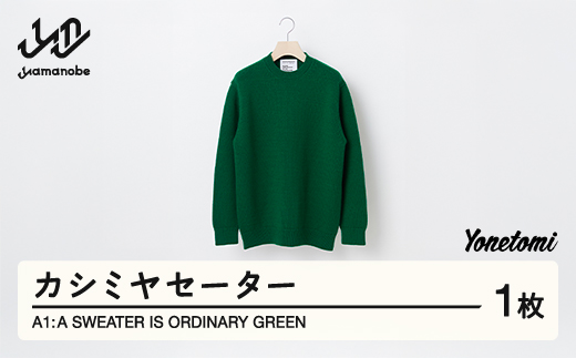 
A1 : A SWEATER IS ORDINARY GREEN グリーン カシミヤセーター 服 洋服 ユニセックス メンズ レディース ブランド 数量限定 山形県 山辺町 yt-soxxg
