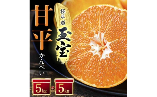「玉宝ブランド」＜甘平＞10kg＜H64-45＞【1511265】 YWTY034