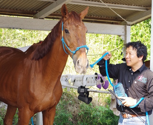 四街道グリーンヒル乗馬クラブ 店頭利用券 16500円分 / 乗馬体験 ビジターレッスン １回使い切り