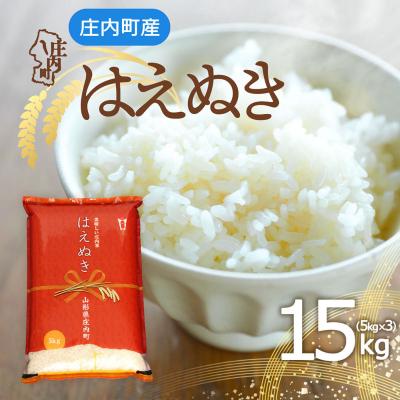 ふるさと納税 庄内町 庄内町産 はえぬき 15kg 5kg×3袋 令和7年産 2025年産 ブランド米