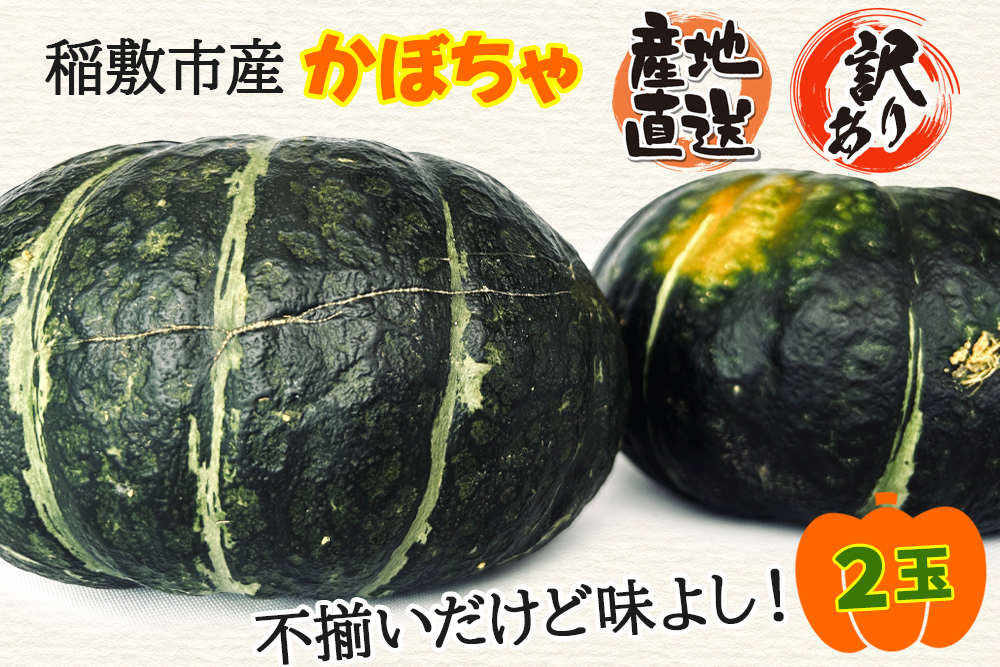 訳あり かぼちゃ 稲敷市産 1箱(2個入)GI認証なし 産地直送 採れたて完熟！大野さんのかぼちゃ｜南瓜 カボチャ 稲敷 江戸崎地区 完熟 [1024]