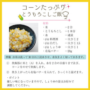 とうもろこし 米 セット サニーショコラライラ 10本 4kg 先行予約 | とうもろこし
