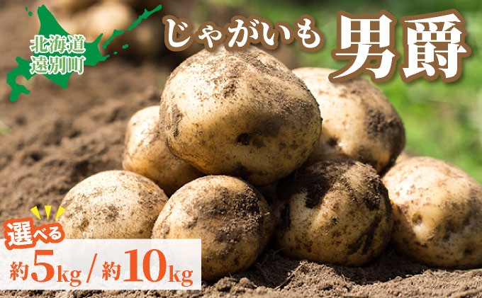
            ＜選べる容量＞【2025年産】遠別産 じゃがいも（男爵約5~10㎏）※2025年9月上旬より出荷※
          