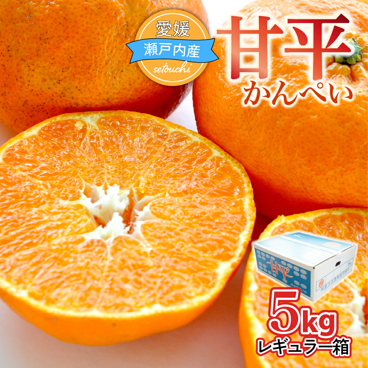 【ふるさと納税】【先行予約】人気柑橘 甘平 かんぺい レギュラー箱 5kg 果物 フルーツ 国産 柑橘 みかん 甘平 かんぺい カンペイ 甘平みかん 人気 5kg 甘い mikan 柑橘 愛媛みかん 愛媛ミカン 愛媛県 JAおちいまばり