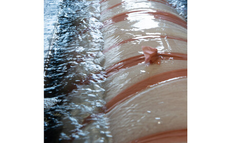 【1秒タオル】プレジール　フェイスタオル2枚セット　（ベージュ,ブルーグレー）