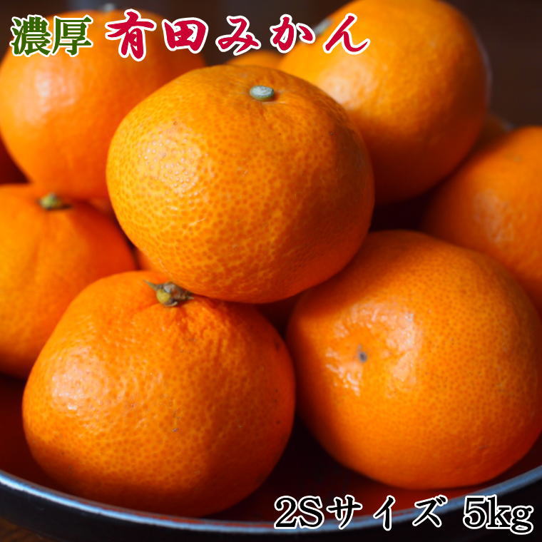 【ふるさと納税】 【秀品】 和歌山 有田みかん 5kg（2Sサイズ）※北海道・沖縄・離島への配送不可 ※2025年11月中旬～2026年1月中旬頃順次発送予定（お届け日指定不可）