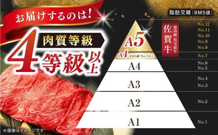 佐賀牛 牛肉 佐賀県産 黒毛和牛切り落とし きりおとし A5 A4