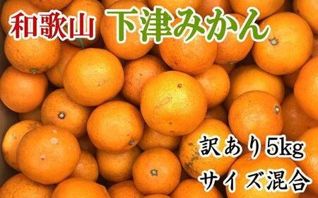 ［訳あり］和歌山下津みかん約5kgご家庭用向け(サイズ混合) ★2026年11月中旬頃より順次発送［TM77］