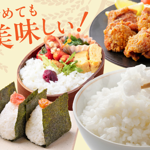令和8年産 泉佐野産 にじのきらめき 5kg G5607_イメージ4