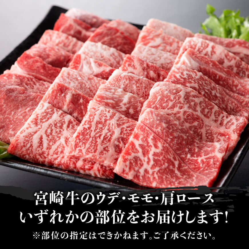 宮崎牛 焼肉用 500g 肉牛牛肉宮崎牛BBQ牛肉牛肉焼肉牛肉ウデ牛肉モモキャンプ牛肉送料無料牛肉 [D0640]