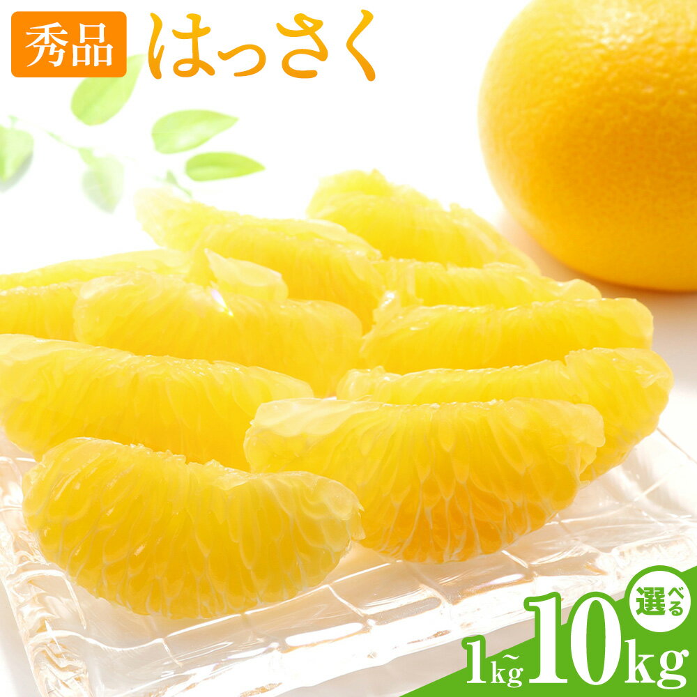 【ふるさと納税】【先行予約】はっさく 秀品 選べる内容量 1kg 2kg 3kg 4kg 5kg 6kg 7kg 8kg 9kg 10kg 株式会社農業福祉研究機構《2027年1月上旬-2月下旬頃出荷》和歌山県 紀の川市 送料無料 フルーツ 果物 八朔 柑橘 ハッサク 旬 旬のフルーツ お取り寄せフルーツ