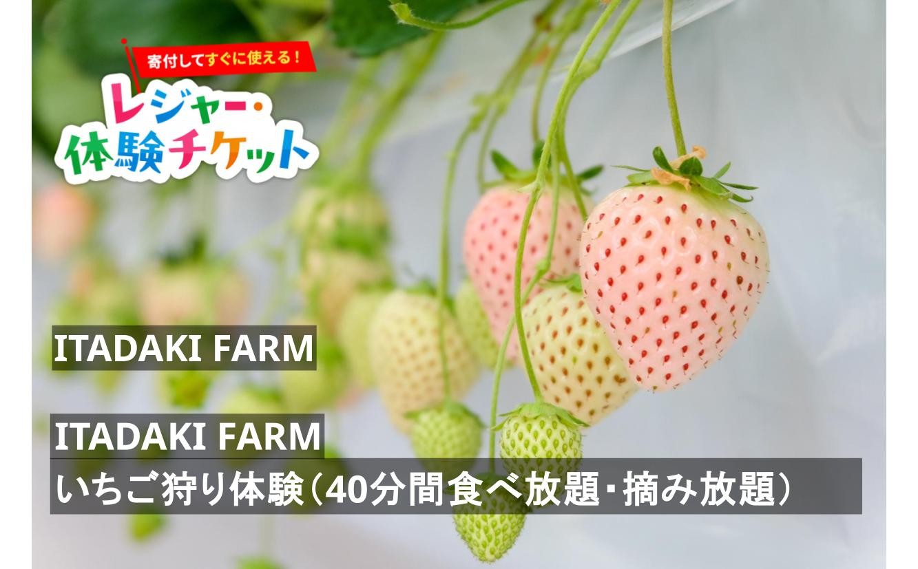 
                  【即時利用可/電子チケット】ITADAKI FARM　いちご狩り体験（40分間食べ放題・摘み放題）【会員限定のお礼の品】
                