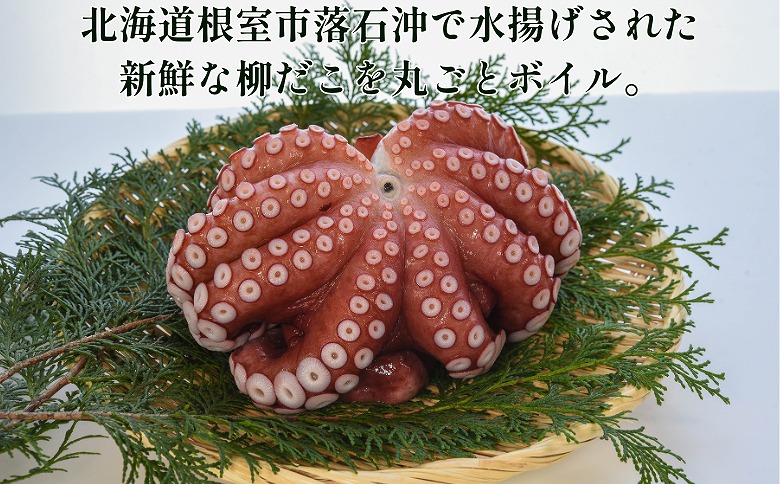【北海道根室産】柳蛸ボイル8杯(計8.5kg) E-20005