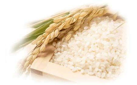 令和6年産米 鏡石町産ひとめぼれ精米10kg  F6Q-313