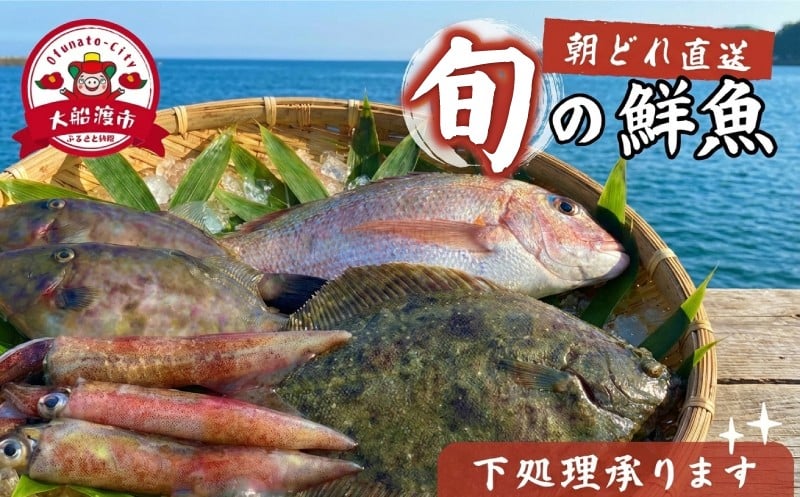
                  【下処理可】 朝獲れ 鮮魚 ボックス 【 選べる 容量 】 三陸 朝獲れ直送 冷蔵 魚種お任せ 水揚げ 海鮮 魚介 産地直送 新鮮 天然 魚 詰め合わせ 下処理 鮮魚便 鮮魚セット 三陸産 国産 海鮮 旬 岩手県 大船渡市 1万円 10000円
                