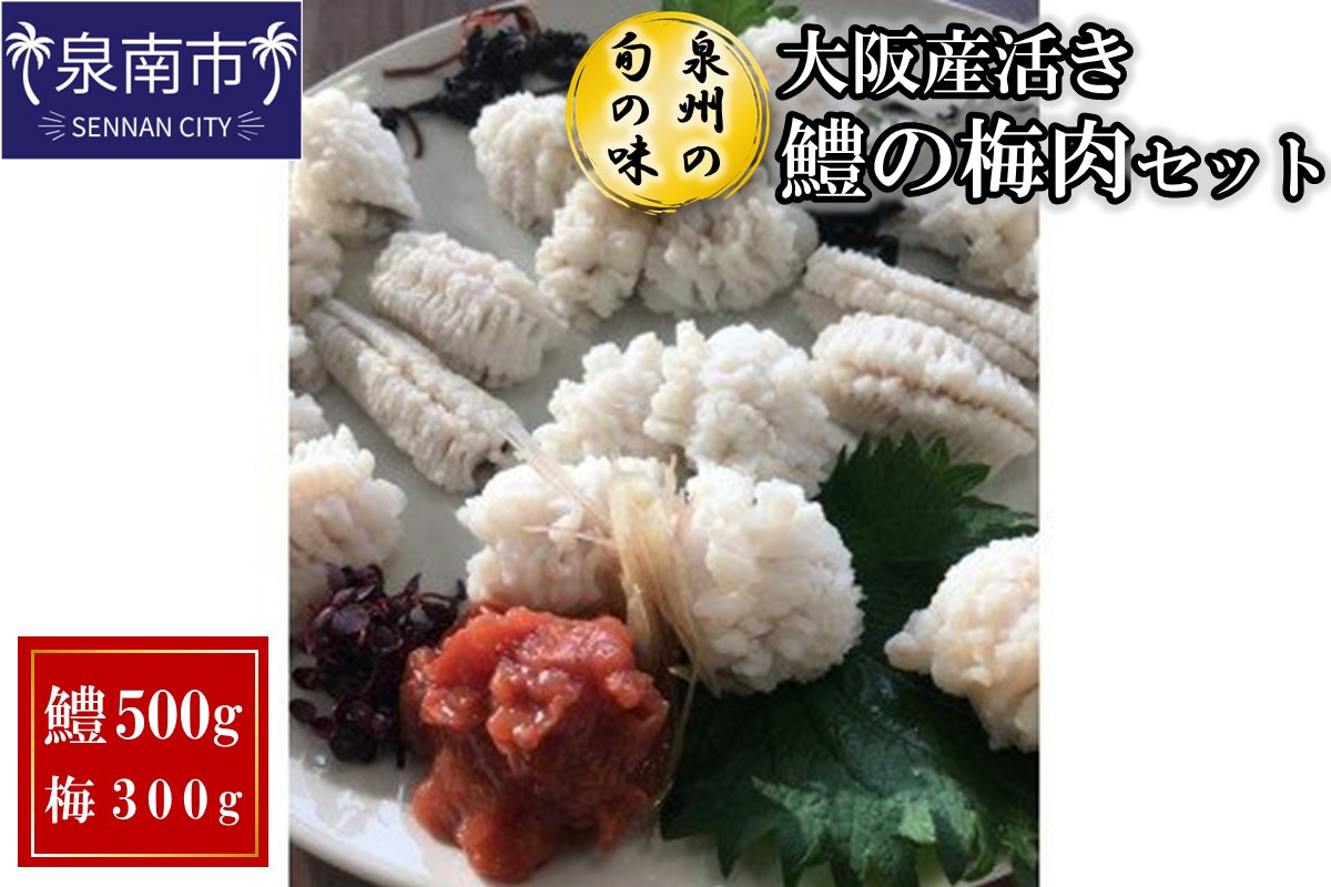 
            【泉州の旬の味】大阪産活き鱧の梅肉セット【配送不可地域：北海道・沖縄・離島】【015D-021】
          
