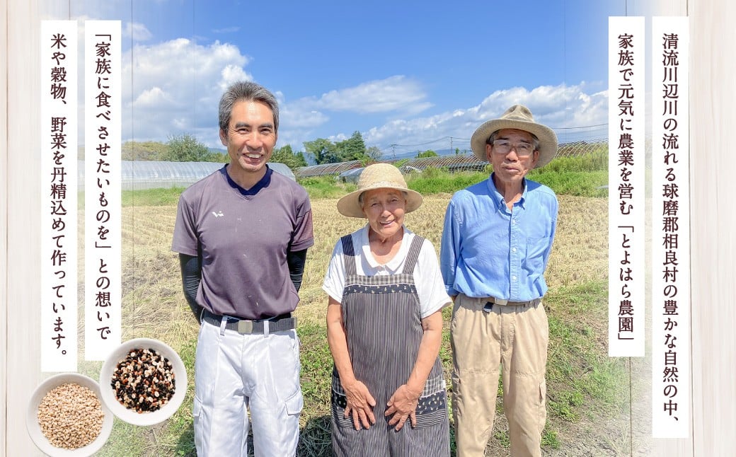 ヘルシー五穀米ともち丸麦セット
