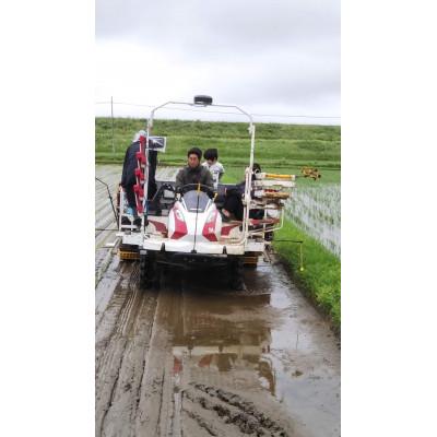 ふるさと納税 香取市 令和7年産　千葉県産コシヒカリ　精米　10kg(5kg×2袋) |  | 02