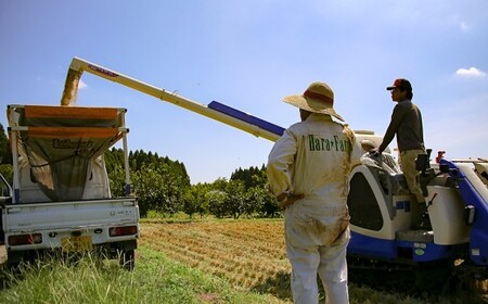【令和7年産】原農場 にこまる 白米 10kg 精米 熊本県 南関町産 品質そのまま 単一原料米 農家直送 数量限定 コメ