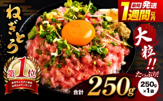 【 簡易包装 】ネギトロ 250g パック × １袋 | まぐろのたたき ねぎとろ まぐろ スピード発送 選べる ねぎとろ 小分け 手詰め 清幸丸水産 マグロ たたき タタキ 鮪 海鮮 ユッケ 海鮮丼 冷凍 手巻き 高評価 送料無料 千葉県 君津 きみつ