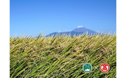 CN7＜米蔵―KOMEGURAー＞【定期便】 五ツ星お米マイスター監修　 鳥取県産米4種食べくらべセット   6kg×4ヶ月 （大山ブランド会）　