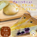 【ふるさと納税】パン工房ツインズ ブルーベリー入り チーズケーキ チーズ万十 セット (ブルーベリー入りチーズケーキ×6個・チーズ万十×8個)　 　お届け時期：入金確認後20日前後