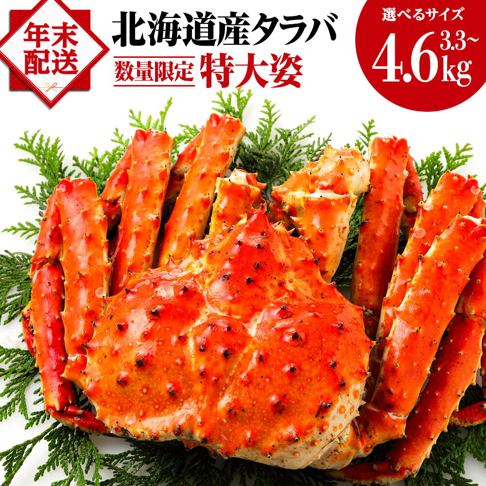 【ふるさと納税】☆タラバ姿 選べる3.3kg～4.6kg 北海道産 【選べる・12月30日着】発送時期 年末予約 12月30日着 年内発送ふるさと納税 北海道