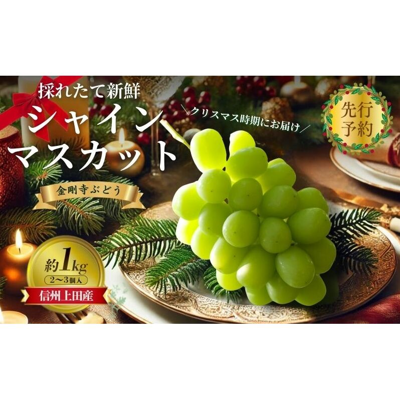 【2026年先行予約】クリスマスにお届け！ シャインマスカット 信州上田産金剛寺ぶどう 約1kg 2～3房 ぶどう 葡萄 ブドウ マスカット 1kg 果物 くだもの フルーツ デザート 旬の果物 旬のフルーツ 長野県 長野