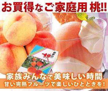 和歌山県産 白鳳 桃 11～16玉入り 訳あり ご家庭用 数量限定【2024年6月下旬以降発送】