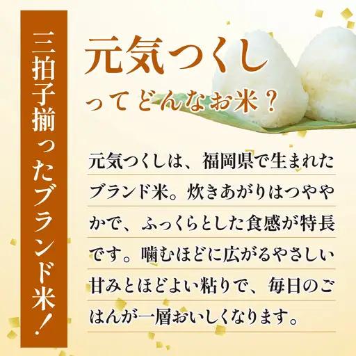 【定期便：３ケ月】令和８年産 福岡県産米 元気つくし 15kg 精米 CY024sub3