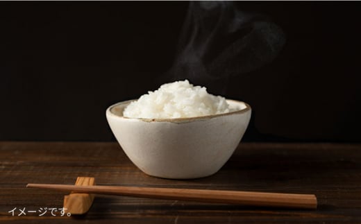【全3回定期便】とくべつの中のとくべつ 糸島 特別栽培米 3kg （ コシヒカリ ） 糸島市 / itoshimacco / 株式会社やました [ARJ021]