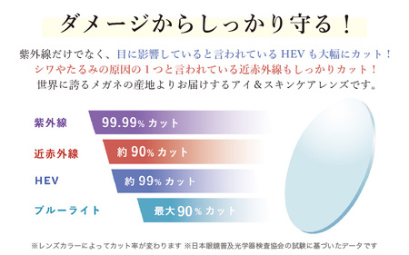 アイケア 目元のスキンケアができるアイウェア『SOLAIZ』クラウンパントモデル SLD-004 SMOKE/L.BLレンズ (スモーク / ライトブルーレンズ) 1本【サングラス 伊達メガネ クラウ