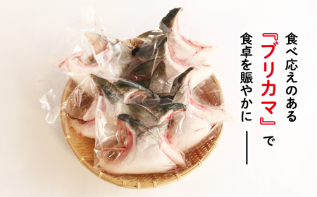 ブリカマ 2切れ × 6パック 13000円 冷凍 サイズ 不揃い ぶりかま ぶりカマ 鰤かま 少額 食べ物 旬 お手軽 魚海鮮 魚介 父の日 小分け 真空 パック 新鮮 鮮魚 養殖 国産 鰤 ぶり 