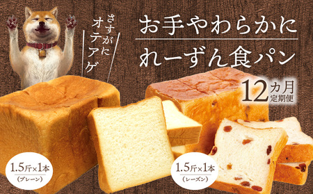 【定期便】お手やわらかに1.5斤1本＆れーずん1.5斤1本/12ヵ月　定期便 12回 食パン 食べ比べ パン プレーン レーズン セット DJ-T003
