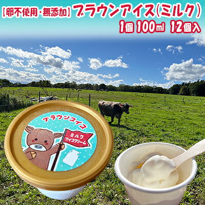 【ふるさと納税】【卵不使用・無添加】ブラウンアイス（100ml）12個セット 北海道 南富良野町 アイス デザート おやつ 無添加 バニラアイス バニラ アイスクリーム